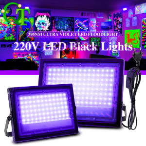 395nm LED UV Flood Light 50W 100W LED Stage Black Light 220V Waterproof UV Fluorescent Party Stage Backlight