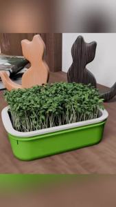 Klimo Seed Germination Tray Double Layer Plant Peanut Bean Sprout Soilless Hydroponic Seedling Tray 1Set