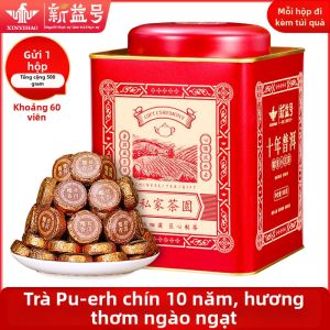XINYIHAO | Trà Pu-erh Gạo Nếp Hương ủ 10 năm Túi Nhỏ Tuo Cha
