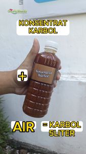 Orchid Brand Konsentrat Karbol / Biang Karbol Pembersih Lantai Anti Bakteri Membasmi Kuman / Serangga Aroma Pinus dan Sereh 1 Botol Jadi 5 Liter