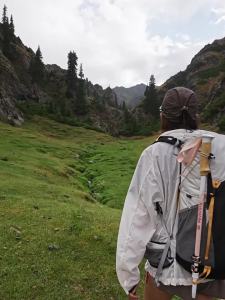 NatureHike | Gậy Trekking 3 Đoạn Chuyên Nghiệp