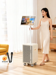 WESTDING | Hệ Thống Karaoke Gia Đình Tích Hợp