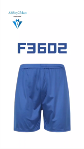 Lifestyle: Mens Nylon Satin-Like Shorts (F3602)