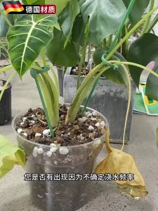 CHUANGYI | Flower Specialized Soil Moisture Meter