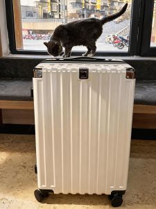 MANLVSHI | Expandable Durable Quiet 24-inch Luggage
