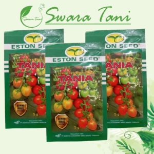 [Asli] Benih Tomat Hibrida F1 TANIA 5gr - ESTON SEED