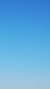 APR JAPAN mata sock roda truck 41mm dan kotak 21mm ukuran anvil 3/4inch rajanya kunci sock cr mo titanium type S23