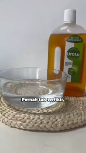 「Dettol Same model」Urolu Brown Antiseptic Cleaner 750ml – For Home Laundry & Bathroom