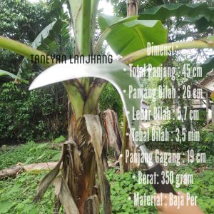 Arit Bintang 5 Super Top Lebar Ukuran 45 Cm / Sabit Rumput Full Baja / Sabit Asli Madura / Sabit Rumput Super Tajam / Arit Tebang Tebu Super Tajam / Sabit  Rumput Baja Madu / Pande Bintang Madura / Arit Madura Jumbo /Arit Rumput Tajam Baja Asli Jawa Timur