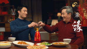 今世缘  典藏12 白酒 52% 500ml/瓶 JincShi Yuan D12 52% Baijiu 500ml/Bottle