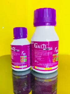 Insektisida GaliL 200 SC dr Royal Agro: Solusi Pengendali Hama Thrips Joss Tenan!!