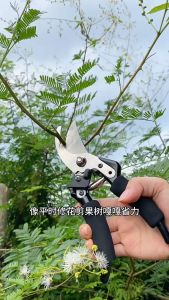 Y-XONE High Carbon Steel Gardern Plant Scissor Pruning Shear Orchard Potted Flower Tree Bonsai Branch Hand Pruner Cutter
