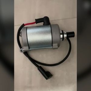 TRS Dinamo Starter 11t Motor Roda Tiga Kaisar Jialing Nozomi Spareparts Original TRS SEMARANG