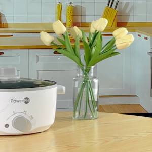 POWERPH 4L Multifunctional Electric Cooker and Rice Cooker Big Hot Pot Cooker