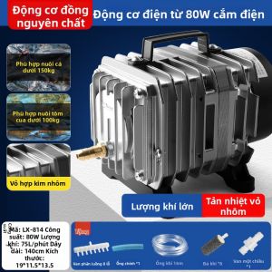 DABINGYANG | Máy Bơm Oxy Lớn Công Suất Cao