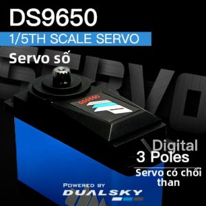 Servo Số Đếm Hiệu Suất Cao 1/5 Kích Cỡ 202g