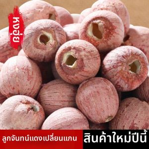 Decored Red Lotus Seeds Dried Goods