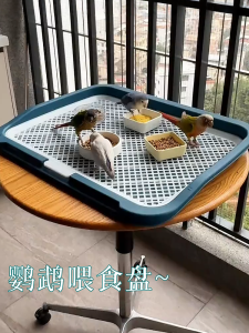 Large Parrot Free Range Feeding Dish Seed Shell Separation Bird Feeder Anti Flip Anti Splash Bird Food Tray Pet Supplies