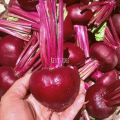 Buah Bit/Beet Root Fresh 1kg. 
