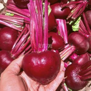 Buah Bit/Beet Root Fresh 1kg