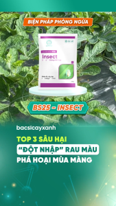 BS25 Phòng Trừ Rầy Rệp Nhện Đỏ - Diệt Côn Trùng Chích Hút - Bác Sĩ Cây Xanh