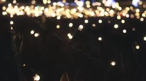 Solar Outdoor Lights Waterproof Solar String Lights 8 Modes Solar Twinkle Fair Lights for Christmas Garden Holiday Wedding Decor
