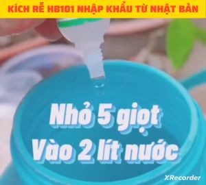 HB 101 50ml Nhật Bản Siêu Kích Rễ Phục Hồi Cây Suy Yếu Tăng Cường Ra Rễ Và Thúc Đẩy Hồi Phục Cây Suy Yếu