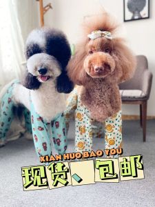 Outdoor Pet Dog Raincoat Guide Bear Dog Clothes Waterproof Sleeve Covers Joint Protector Anti-urine Leg Covers for Dogs