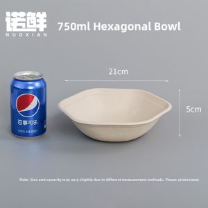 NUOXIAN | Eco-friendly Paper Pulp Lightweight Meal Box