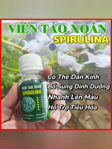 [ MỚI ] Viên Tảo Xoắn SPIRULINA - Viên Tảo có thể dán kính Thức ăn Cao Cấp cho cá cảnh tép cảnh