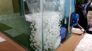 Kaldness Kaldnes K1 WHEELER 1 Liter Pesu Media Filter MBBR Kolam Aquarium Akuarium