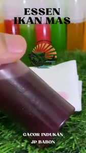 Essen Ikan Mas Aroma Anggur Kamper Durian Umpan Mancing