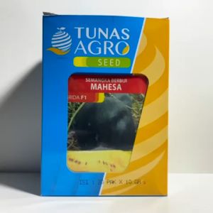 Benih Semangka Kuning MAHESA F1 Isi 20 gram Tunas Agro Seed