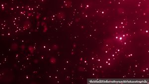 เค.โอ K.O. (ชุด 3 กล่อง) เหมาะสำหรับดีท็อกซ์บำรุงเลือด เลือดสะอาดสุขภาพดี ปวดหัว เวียนหัว บ้านหมุน หลอดเลือดตีบตันความดันไขมันสูง ฮีทสโตรก