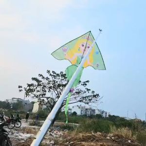 Diều Bé Gái Công Chúa Tóc Vàng 4 Màu