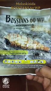 MOLUSKISIDA BOSSTANS 60WP 100 GRAM Pestisida Obat Hama Siput dan Keong Sawah Pertanian Tambak
