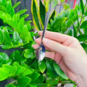 Combo 100 muỗng cà phê loại nhỏ  muỗng inox ăn vịt lộn thìa cà phê inox nhỏ