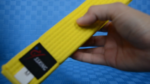 SS King Taekwondo Single Round Color Belt