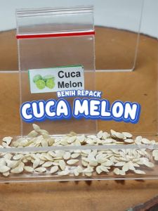 Benih Cucamelon Unggulan Berkualitas & Tanaman Berbiji Pot Hydroponik