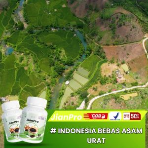 Jianpro - Nyeri Sendi - Asam Urat - Rematik