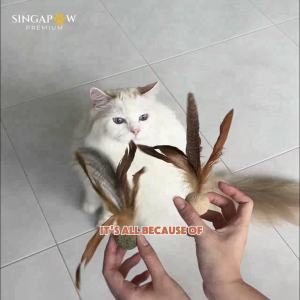 CatWant Silvervine Pheasant Catnip Peacock Shuttlecock Ball Handmade Natural Cleans Teeth Feline Cat Toy