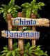 Chinta _Tanaman
