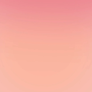 The Law of Success: The Master Wealth-Builders Complete and Original Lesson Plan By Napoleon Hill