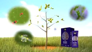 ของแท้ โฟร์​ทรี 4Tree​​ 1กล่อง(10 ซอง)+เสื้อ สารเพิ่มประสิทธิภาพพืชสูตรอิออน ดูดซึมไว เร่งราก โตเร็ว เขียวไว เขียวนาน เพิ่มค่าแป้ง ส่งฟรี