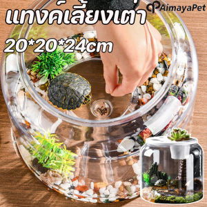 Aimayapet กระบะเลี้ยงเต่า อ่างเลี้ยงเต่า ตู้ปลา โหลพลาสติก แทงค์เลี้ยงเต่า สำหรับเต่าน้ำ เต่าญี่ปุ่น โหลปลากัด โหลปลาทอง