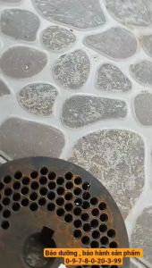 Sàng 5ly lắp máy ép cám viên s150  2L dây coroa