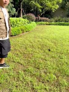 8000K Kerusi Lipat Direktor Camping Chair 3.3kg Ultralight 120kg Heavy Duty Reclining Chair with Ergonomic Backrest 600D Oxford Fabric Aluminum Frame Perfect for Fishing Road Trips