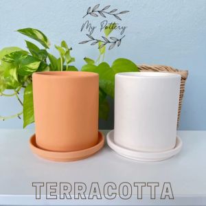 กระถางดินเผา กระถางดินขาว กระถางแคคตัส กระถางไม้อวบน้ำ กระถางตั้งโต๊ะ เนื้อเนียน เกรดส่งนอก ทรงกระบอก ขนาด 3.5 นิ้ว x 4 นิ้ว