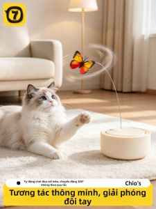 7o | Đồ Chơi Mèo Tự Động Để Giải Trí và Tiêu Hao Năng Lượng