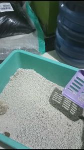 Promo 6/12 liter Pasir Gumpal Wangi Bentonite Cat Litter CHIKO Cat Sand-Anti Bakteri Aroma segar